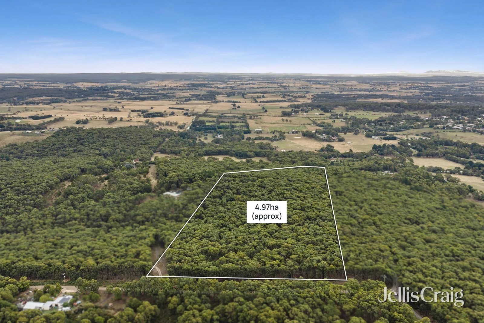 Image 11