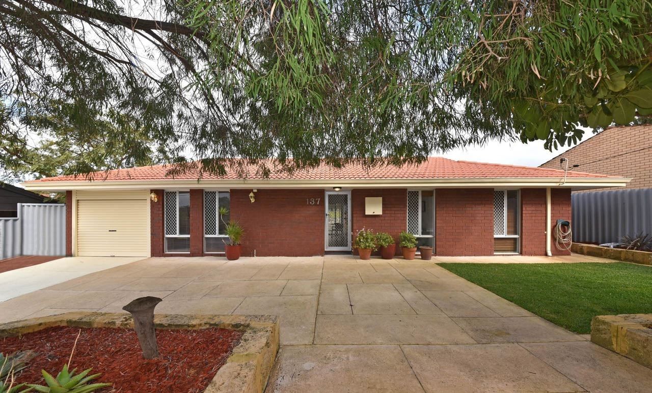 137 Eddystone Ave, Craigie WA 6025 House For Rent 625 Domain