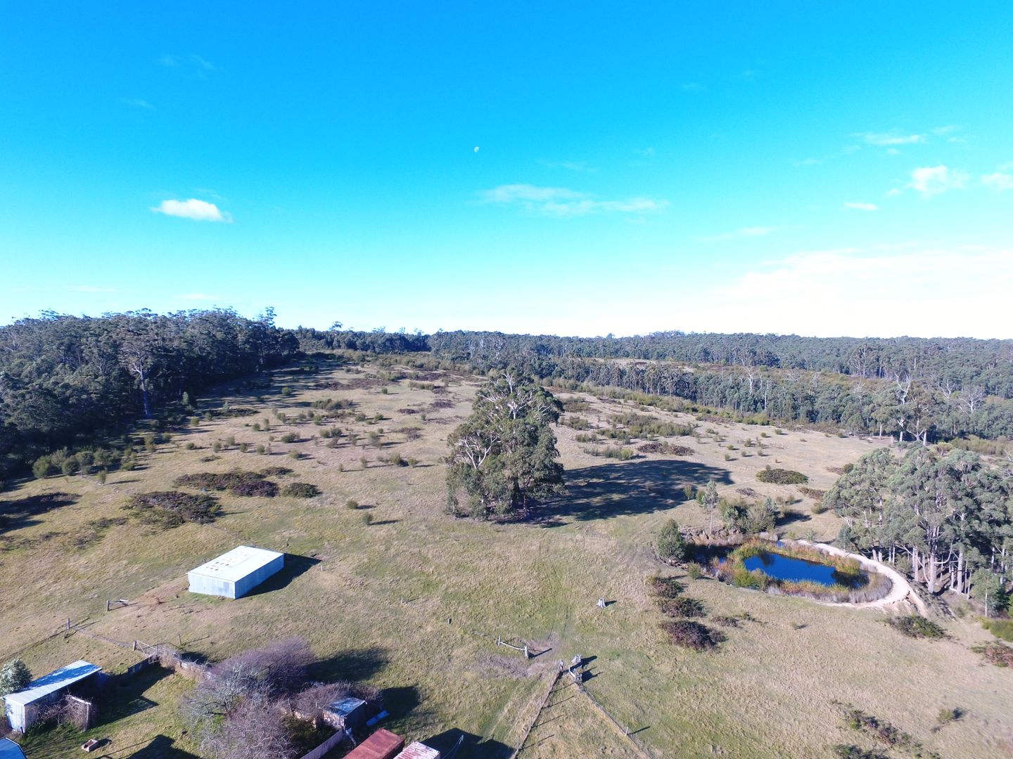 291 Tamboon Road, Cann River VIC 3890 House for Sale 530,000