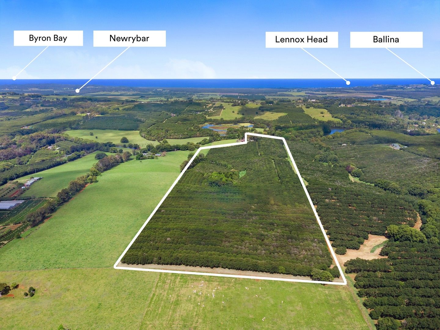 423 Friday Hut Road, Brooklet NSW 2479, Image 0