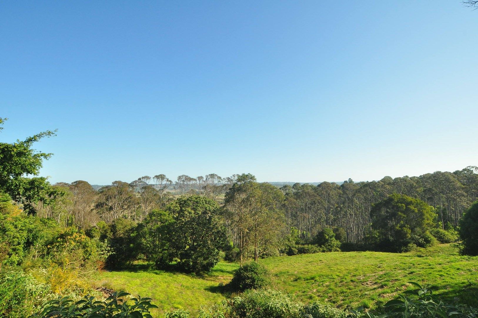 1233 Bangalow Road, Clunes NSW 2480, Image 0