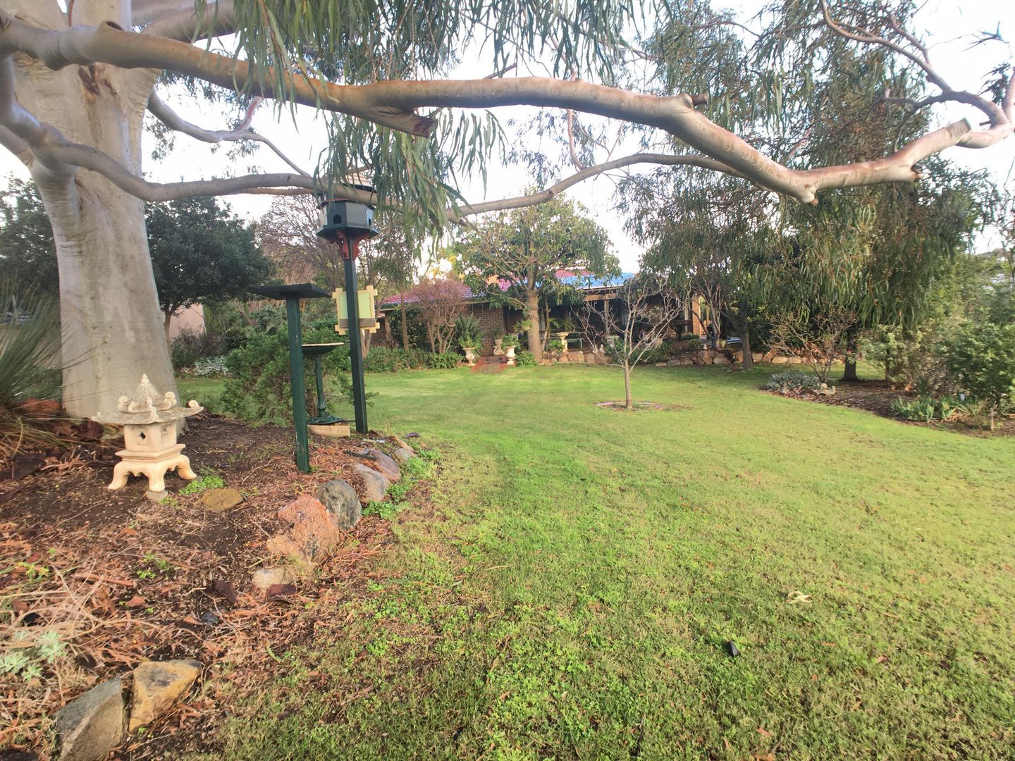 12 Brooke Place, Normanville SA 5204 House For Rent 450 Domain