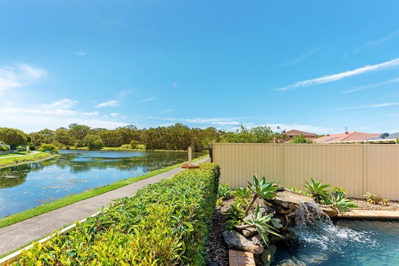 41 Avondale Drive, Banora Point NSW 2486, Image 1