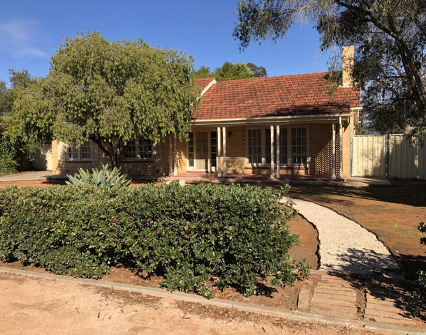 81 Nineteenth Street, Renmark SA 5341