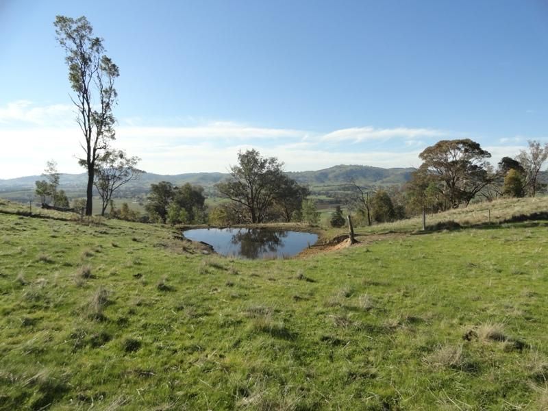 Lot 10 Jessies Lane, INDIGO VALLEY VIC 3688, Image 2