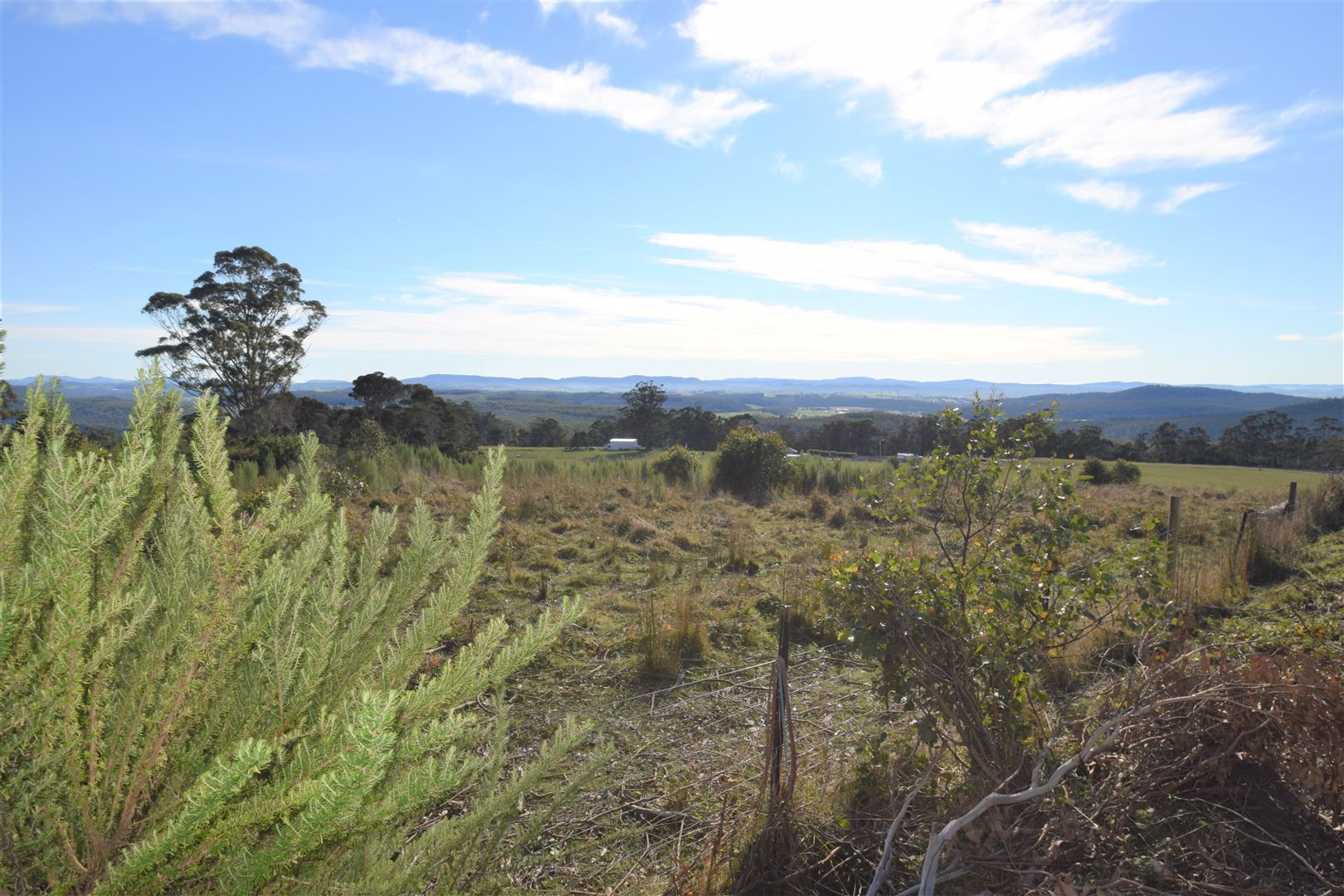 127 Brodies Road, Golden Valley TAS 7304, Image 2