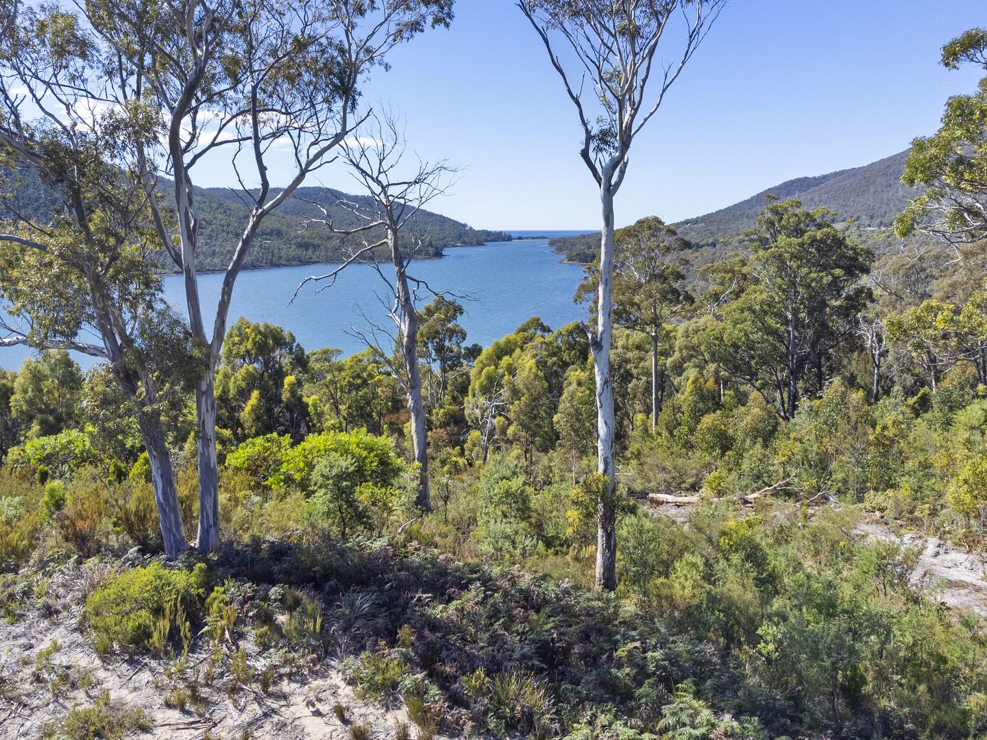 5531 Arthur Highway, Eaglehawk Neck TAS 7179 Vacant Land for Sale