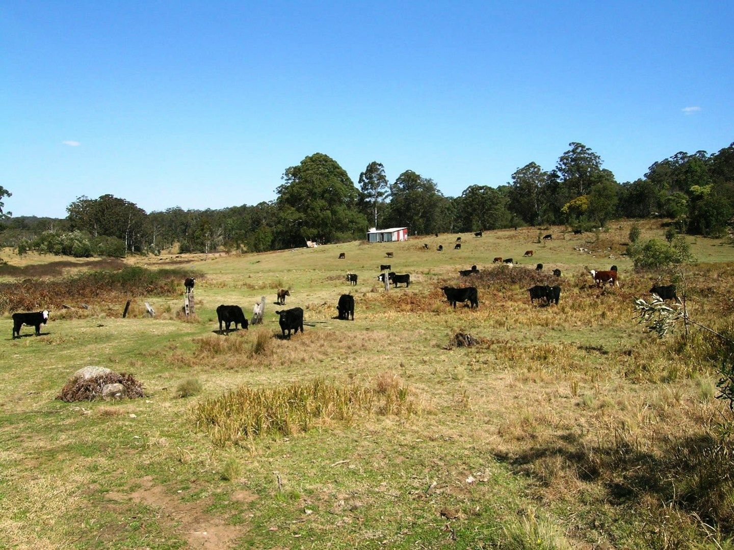 1732-1792 Cochrane Firetrail, Carrai NSW 2440, Image 0