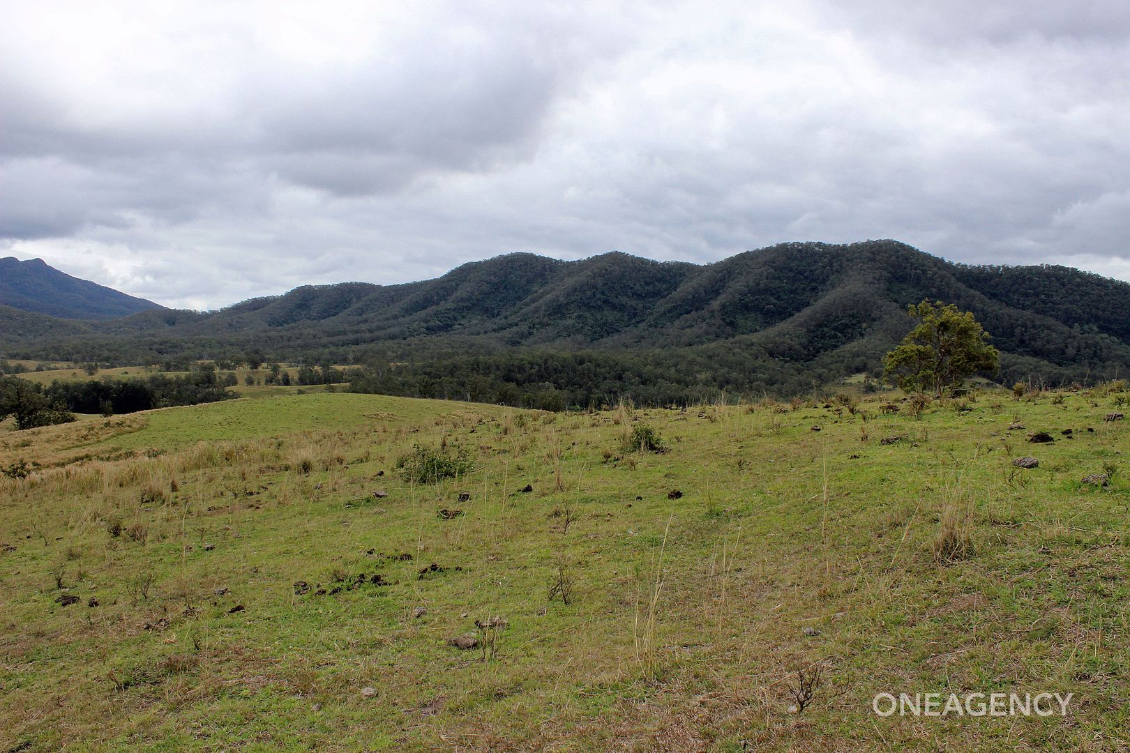 Lot 3 Carrai Road, Willi Willi NSW 2440, Image 2