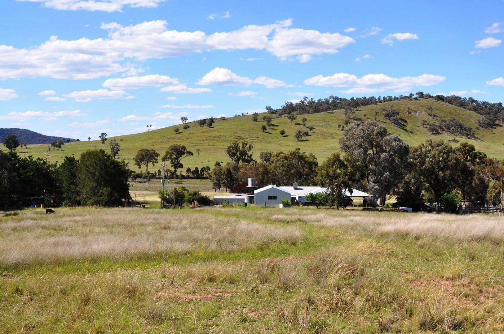 1127 Goolma Road,, Gulgong NSW 2852, Image 0