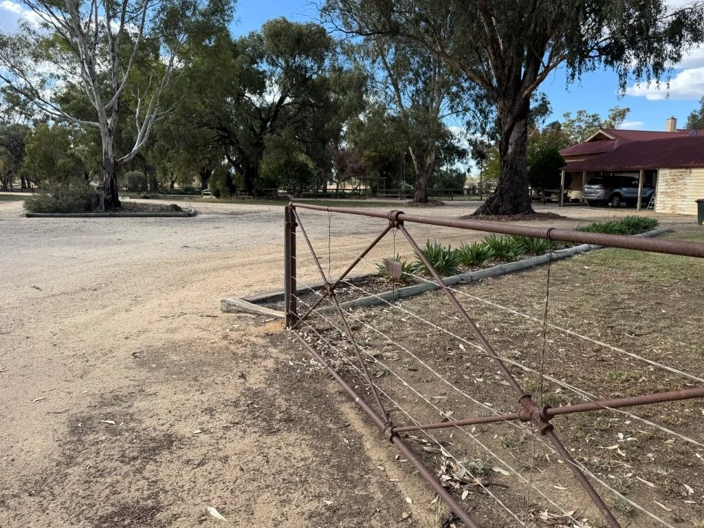 Image 16