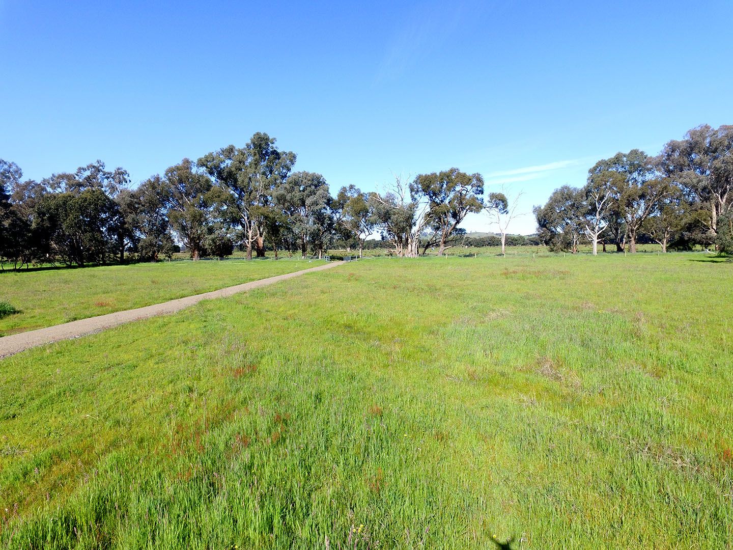 824 BenallaWarrenbayne Road, Warrenbayne Via, Benalla VIC 3672 House