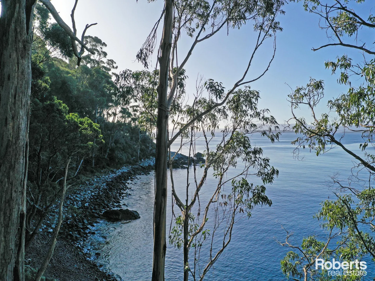 Image 15
