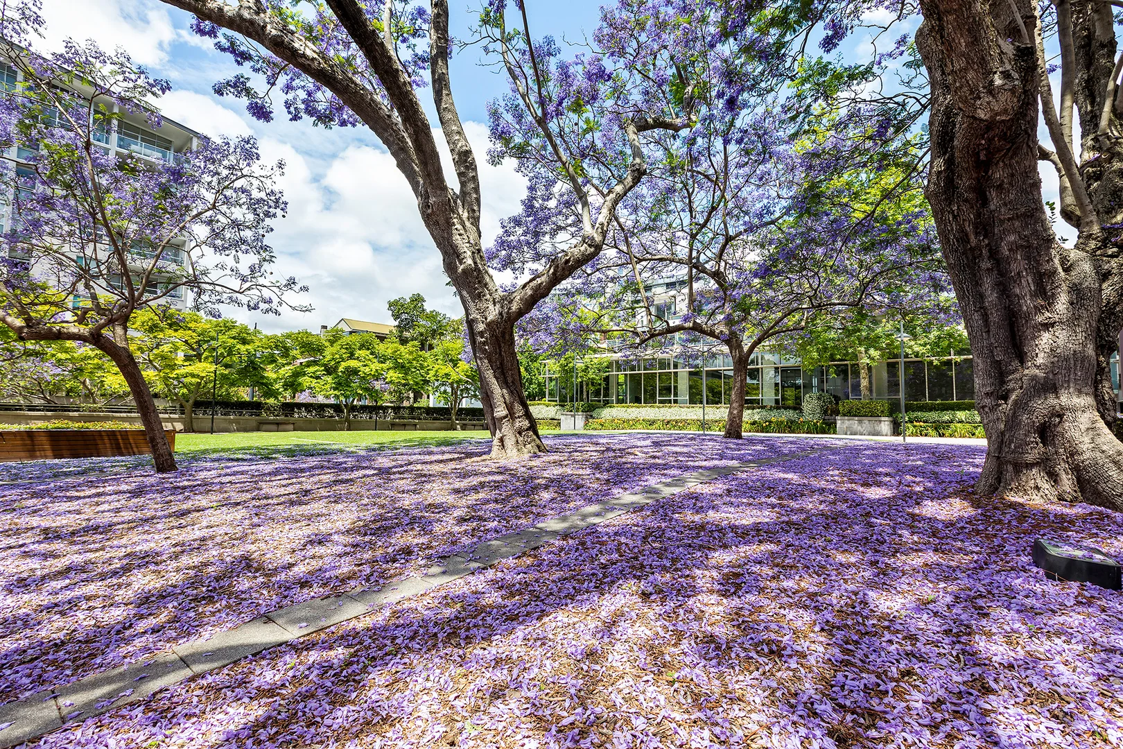 Additional image 16 of 209/7 Sterling Circuit, Camperdown NSW 2050