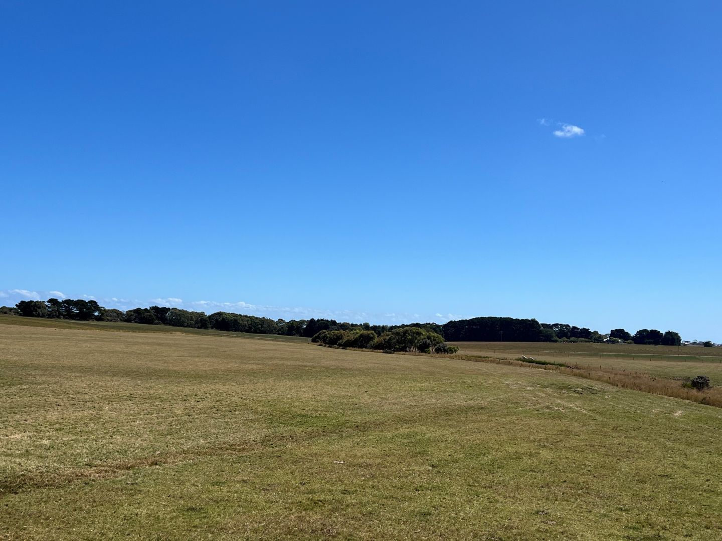 Lot 2, 548 Curdievale-Port Campbell Road, Port Campbell VIC 3269, Image 1