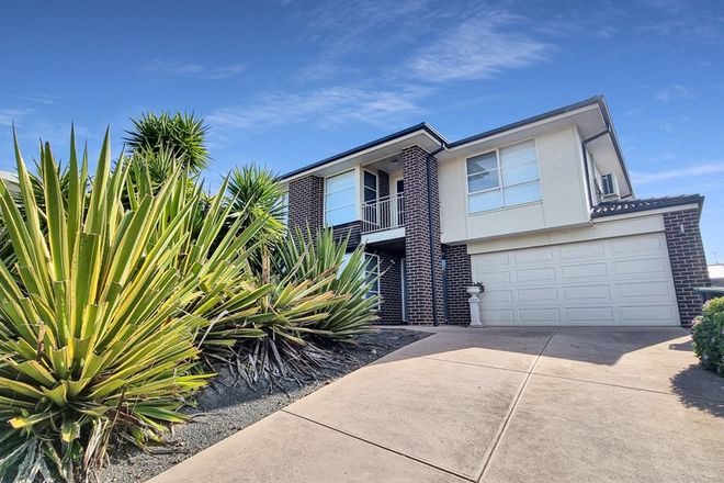 Picture of 179 grantham drive, HIGHTON VIC 3216
