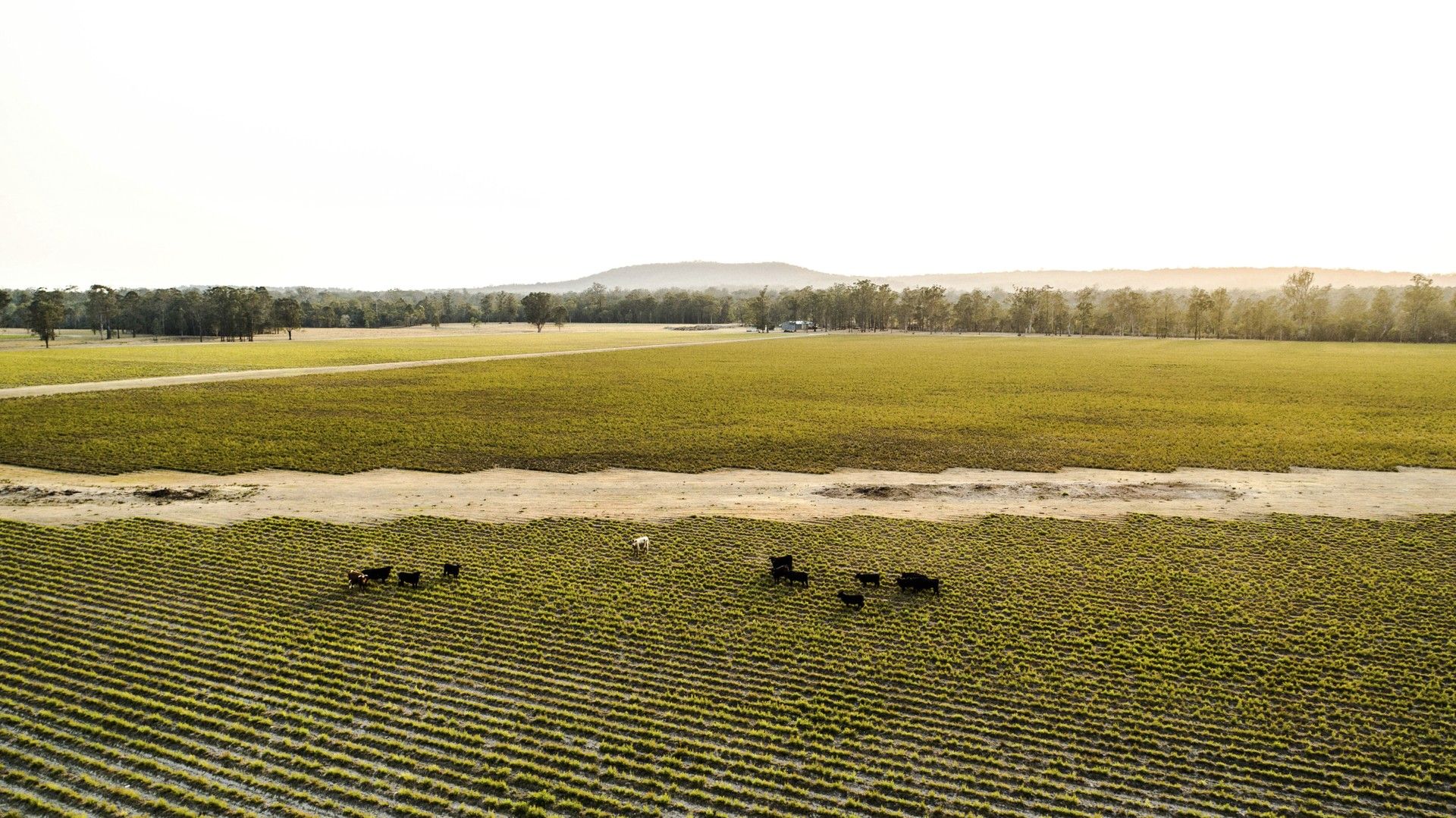 Rural in 1080 Neileys Lagoon & 2525 Myall Creek Road, BUNGAWALBIN NSW, 2469