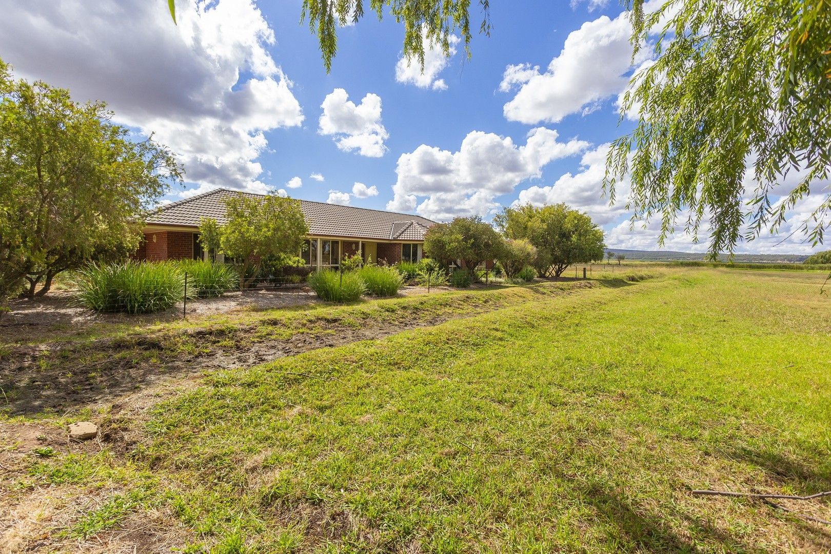 63 McCraken Rd.,, Leeton NSW 2705, Image 0