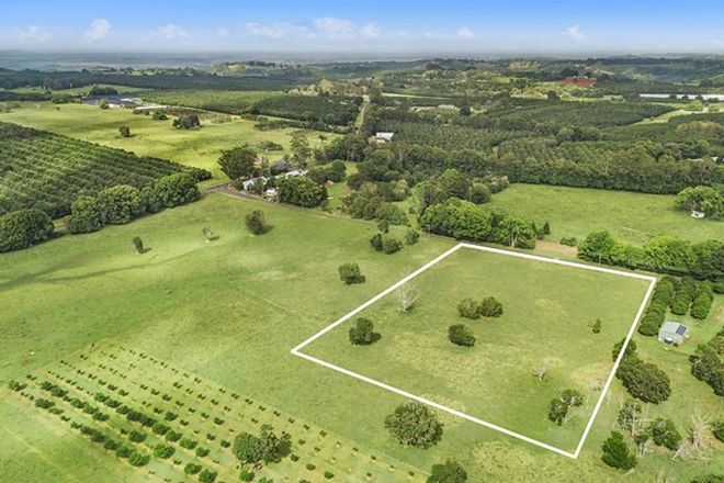 Picture of Lot 101/46 Rous Cemetery Road, ROUS NSW 2477