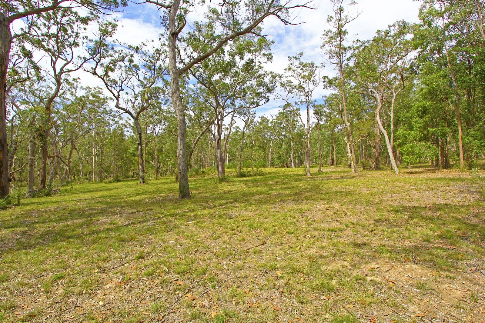 Lot 6/120 Dooralong Ridge Drive, DOORALONG NSW 2259, Image 1