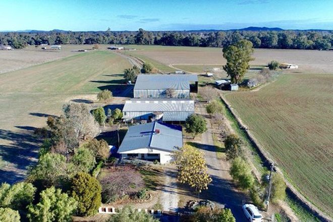 Picture of 475 Gaymards Lane, FORBES NSW 2871