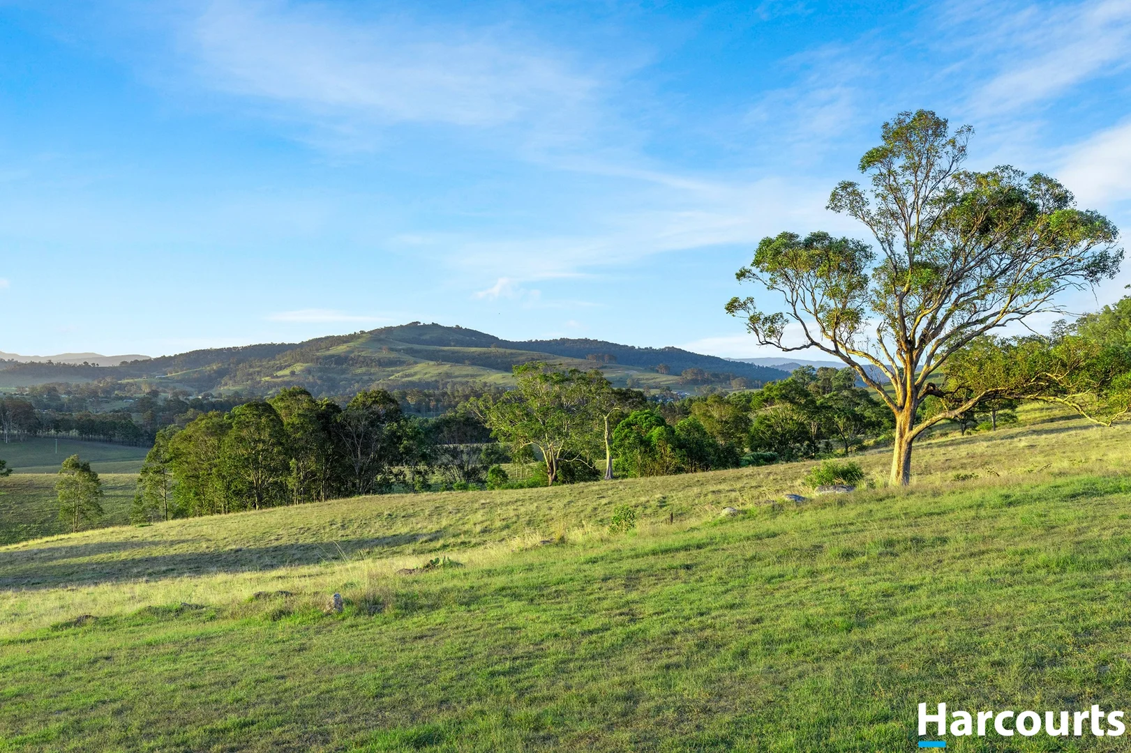 Additional image 8 of 2654 Glendonbrook Road, Gresford NSW 2311