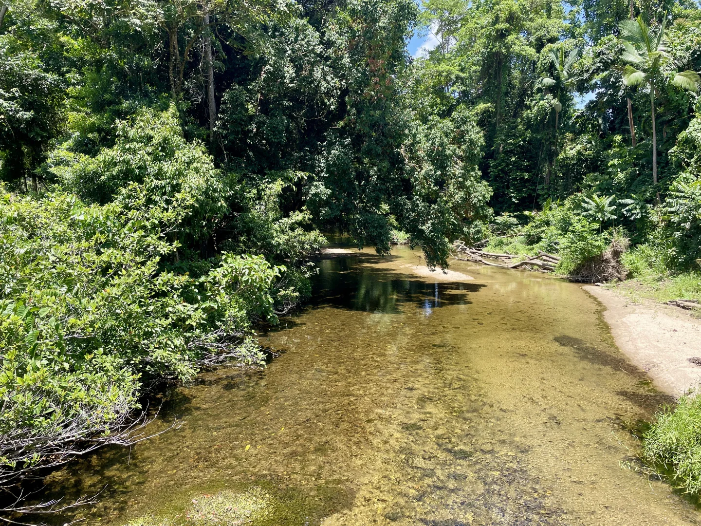 Image 13