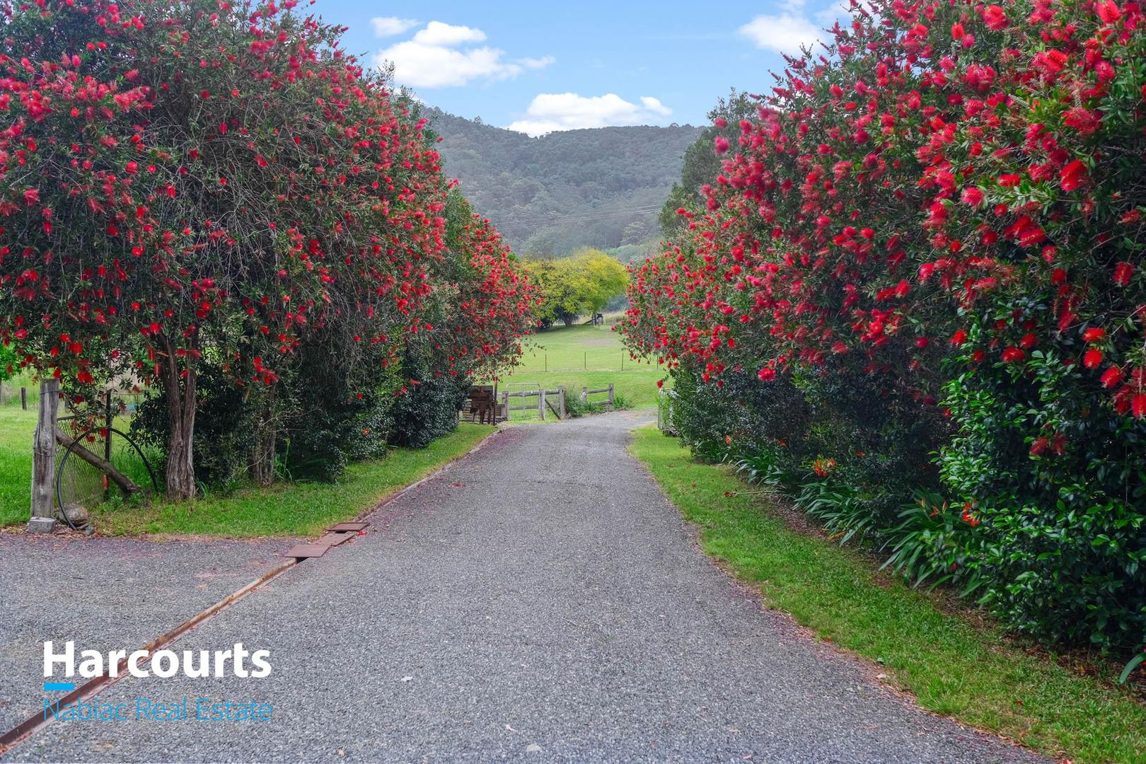 3598 The Bucketts Way, Krambach NSW 2429 - House for Sale - $1,250,000