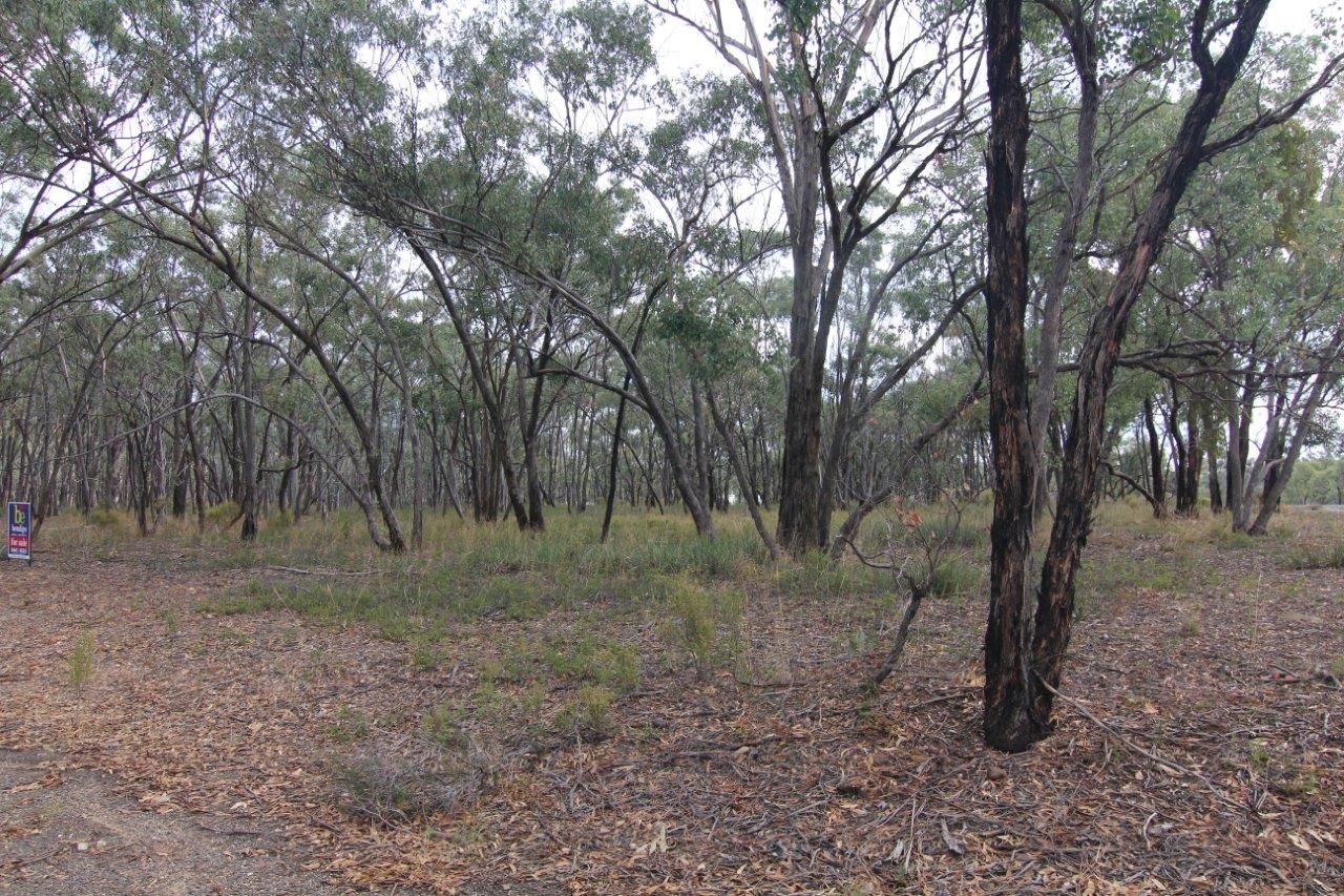 Lot 3 Caleana Road, Junortoun VIC 3551, Image 2