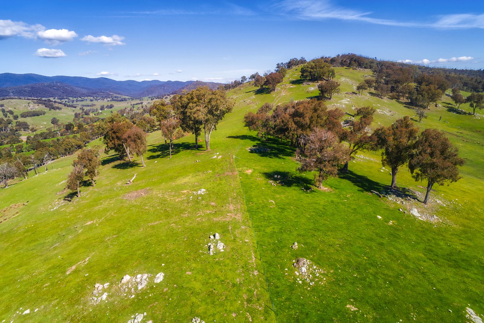 Lot 1 & 2 Martins Lane, Bruarong VIC 3749, Image 2