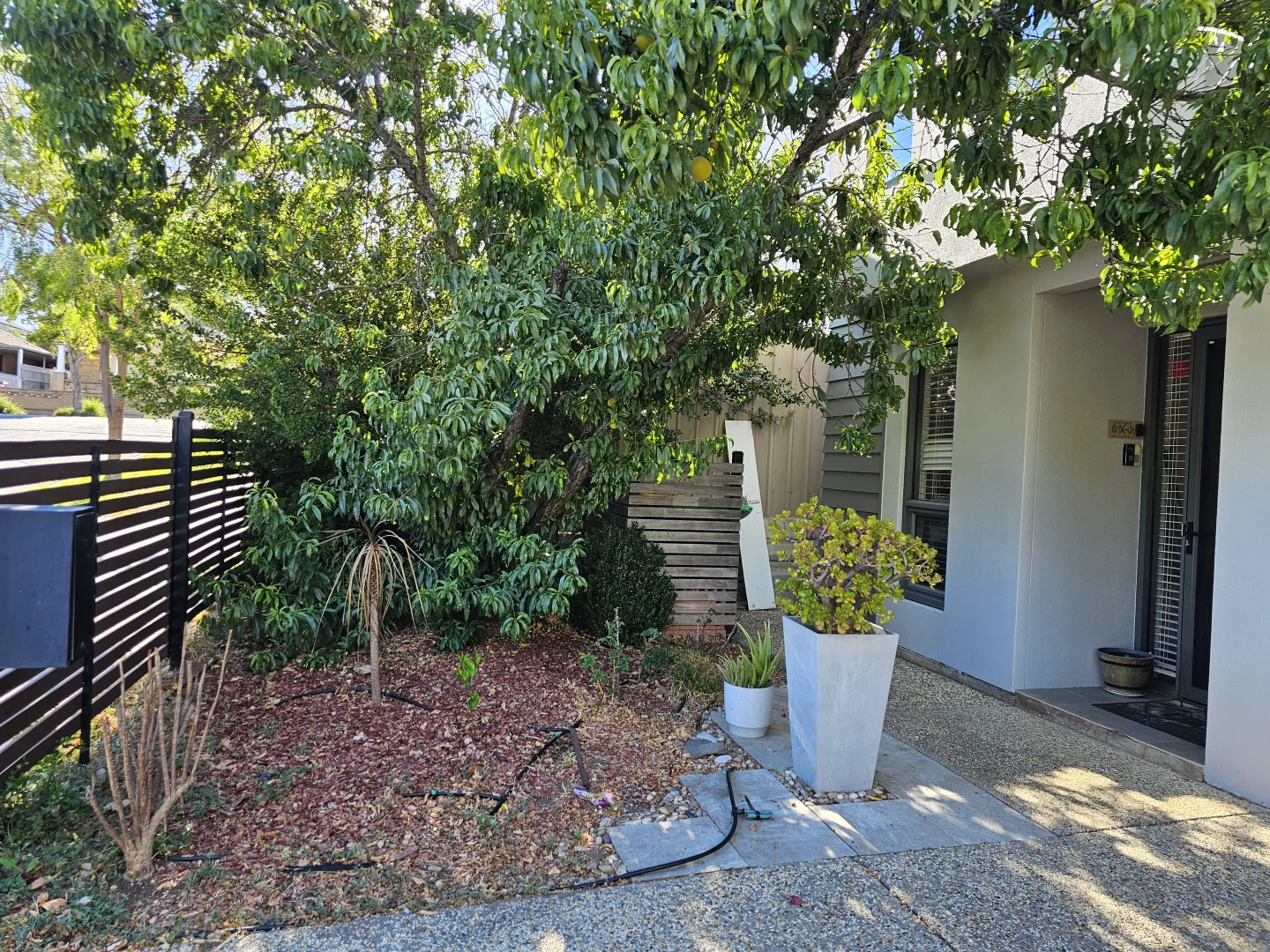 Additional image 21 of 1B Guilford Avenue, Prospect SA 5082