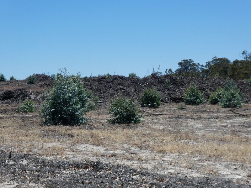 Lot 8 Rocky Gully Road, Rocky Gully WA 6397, Image 0