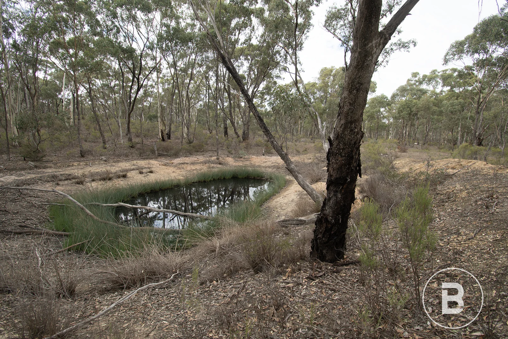 Additional image 6 of 16A/557 Majorca Road, Maryborough VIC 3465