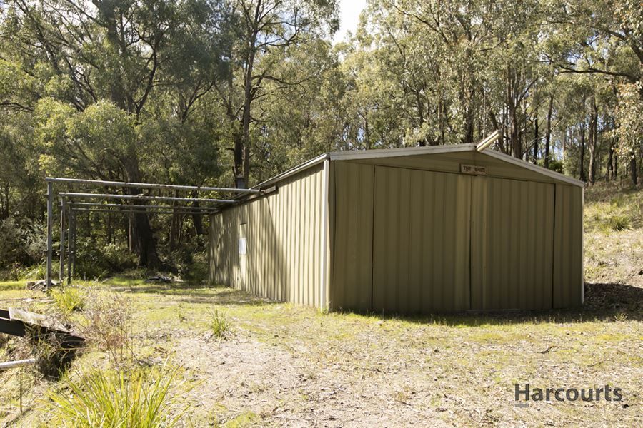 355 Becks Bridge, Tanjil South VIC 3825, Image 2