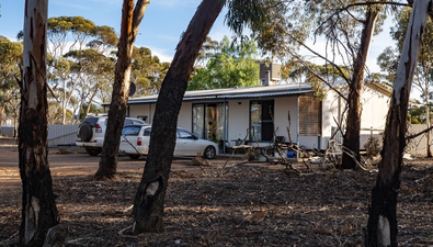 Picture of 73 Goodliffe Street, NORSEMAN WA 6443