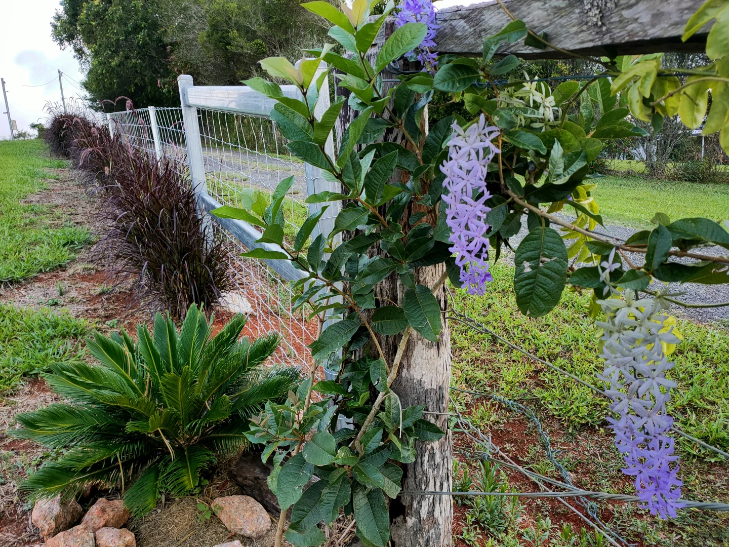 Additional image 23 of 17 Cahill Close, Peeramon QLD 4885