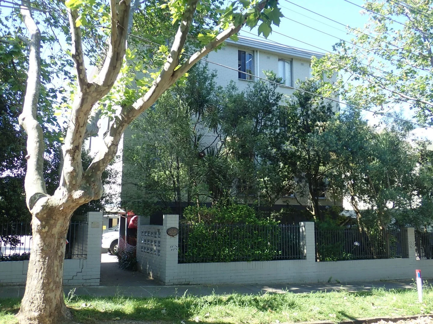 Image 6
