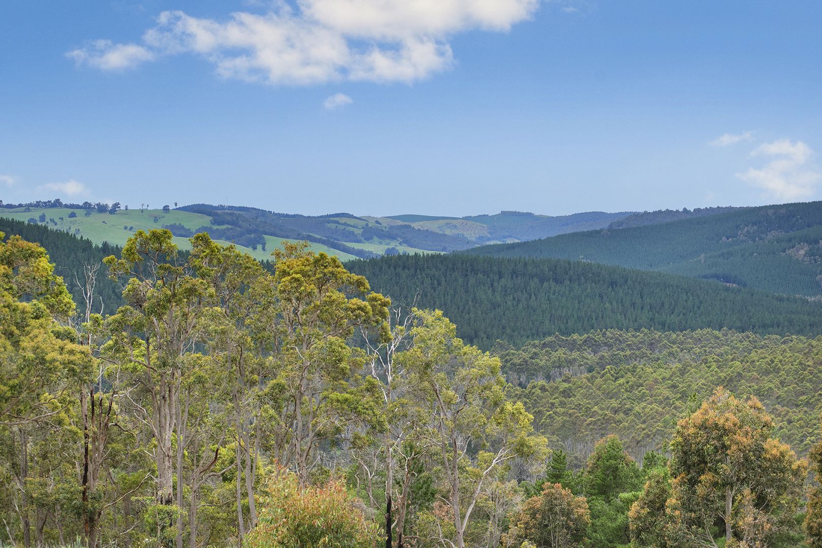 Lot 3 Ridges Road, Nannup WA 6275 Specialist Farm for Sale Domain