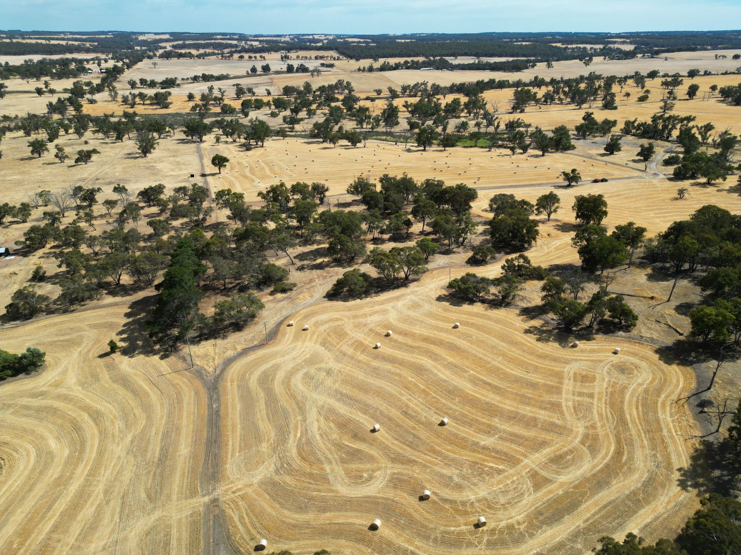 Darganullup 1431 Boyup Brook Kojonup Road, Mayanup WA 6244 Farm for