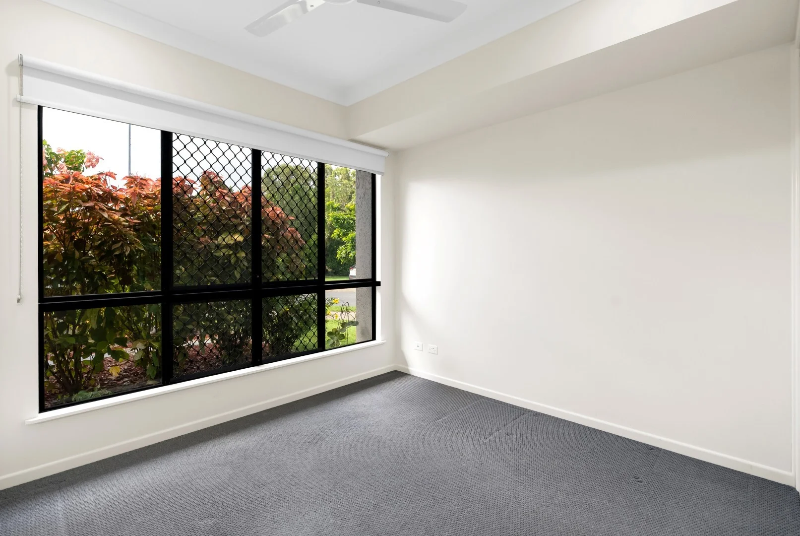 Additional image 19 of 36 The Avenue, Trinity Park QLD 4879