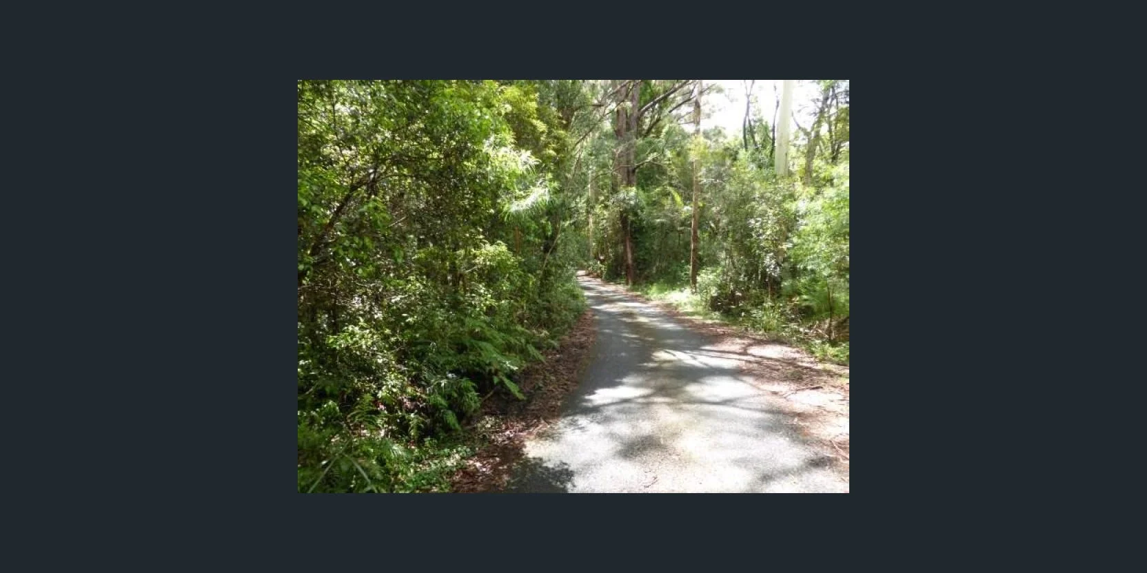 Additional image 5 of Springbrook QLD 4213