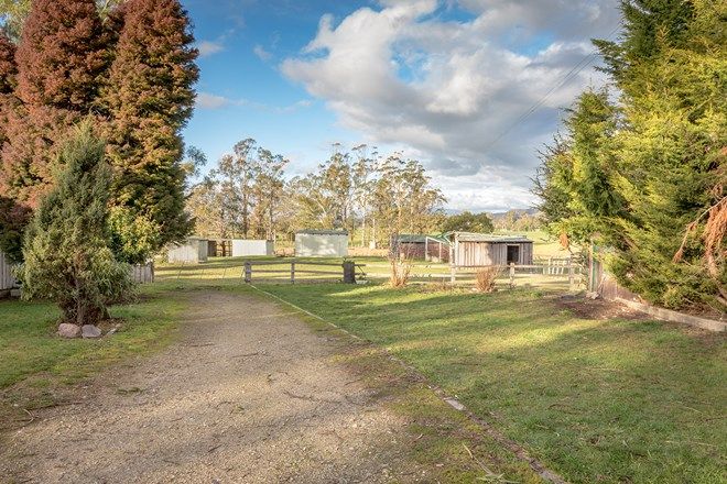 Picture of 331 Western Creek Road, CAVESIDE TAS 7304