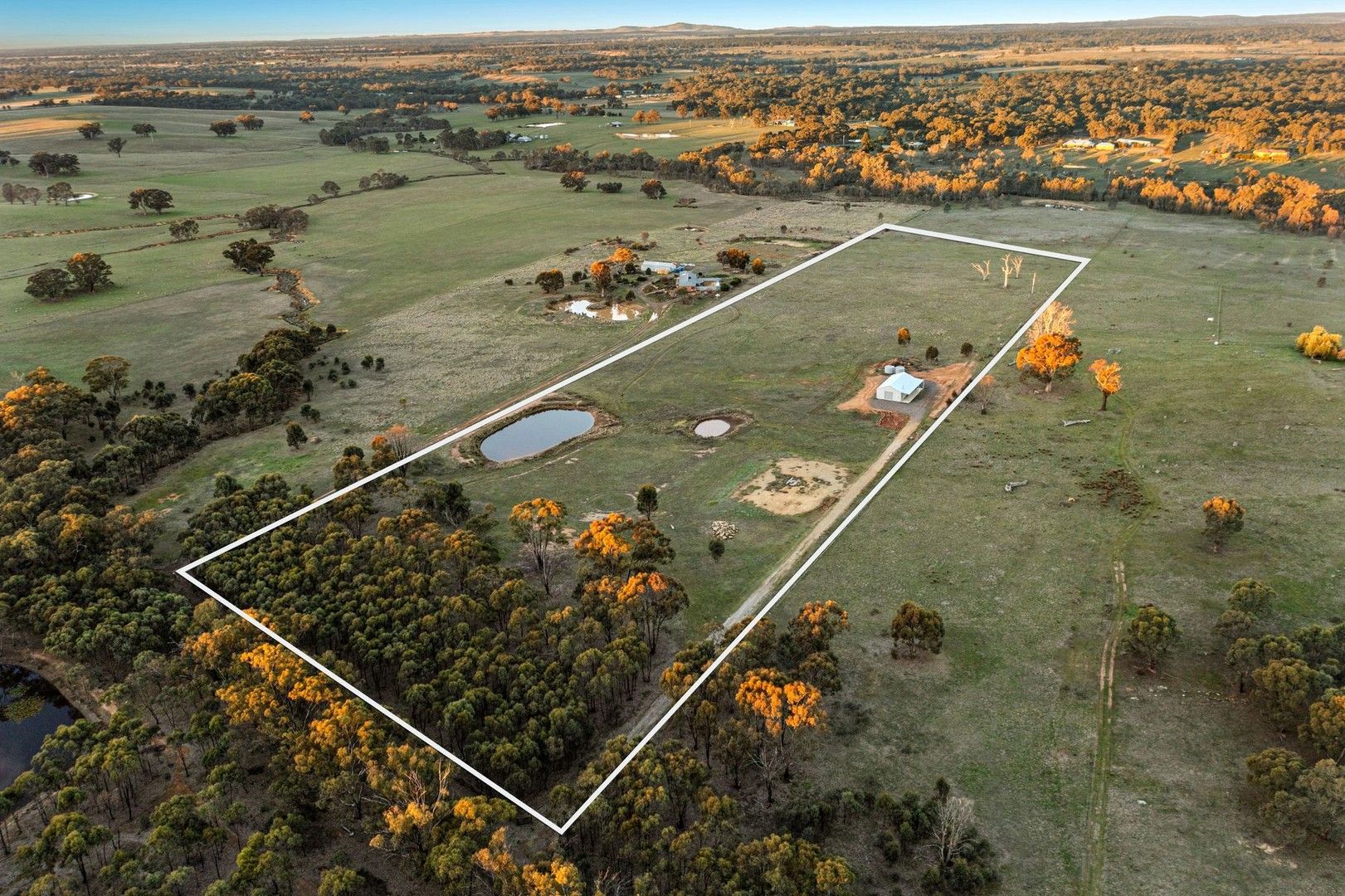 48 Briggs Road, Eppalock VIC 3551 Vacant Land for Sale Domain