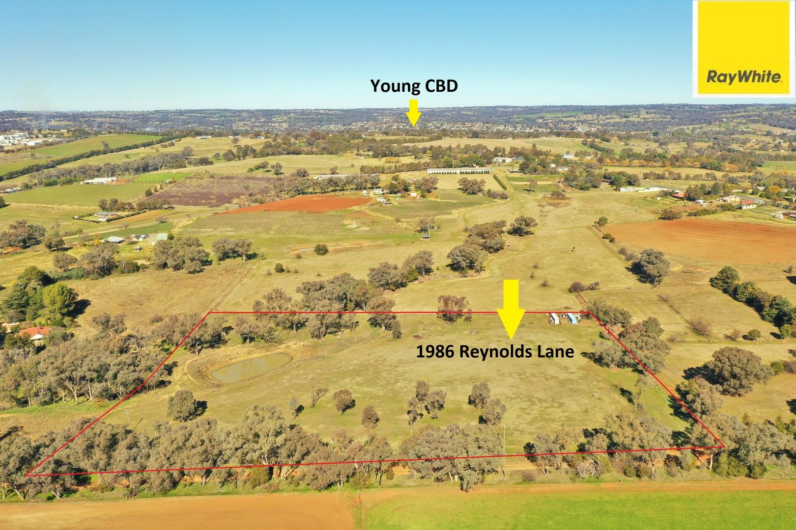 Lot 1986 Reynolds Lane, Young NSW 2594, Image 0