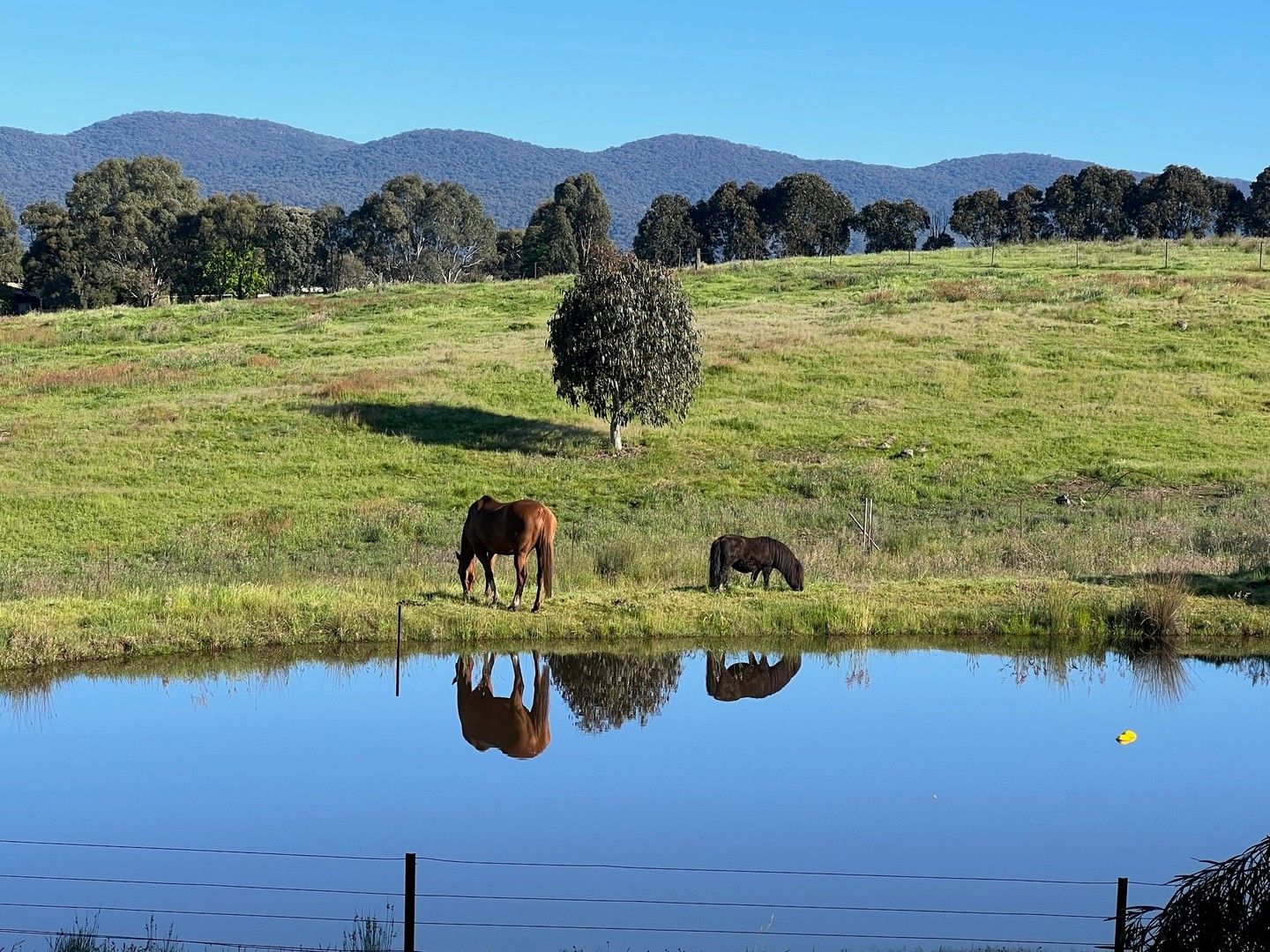 59 Sandy Creek Road, Barjarg VIC 3723, Image 0