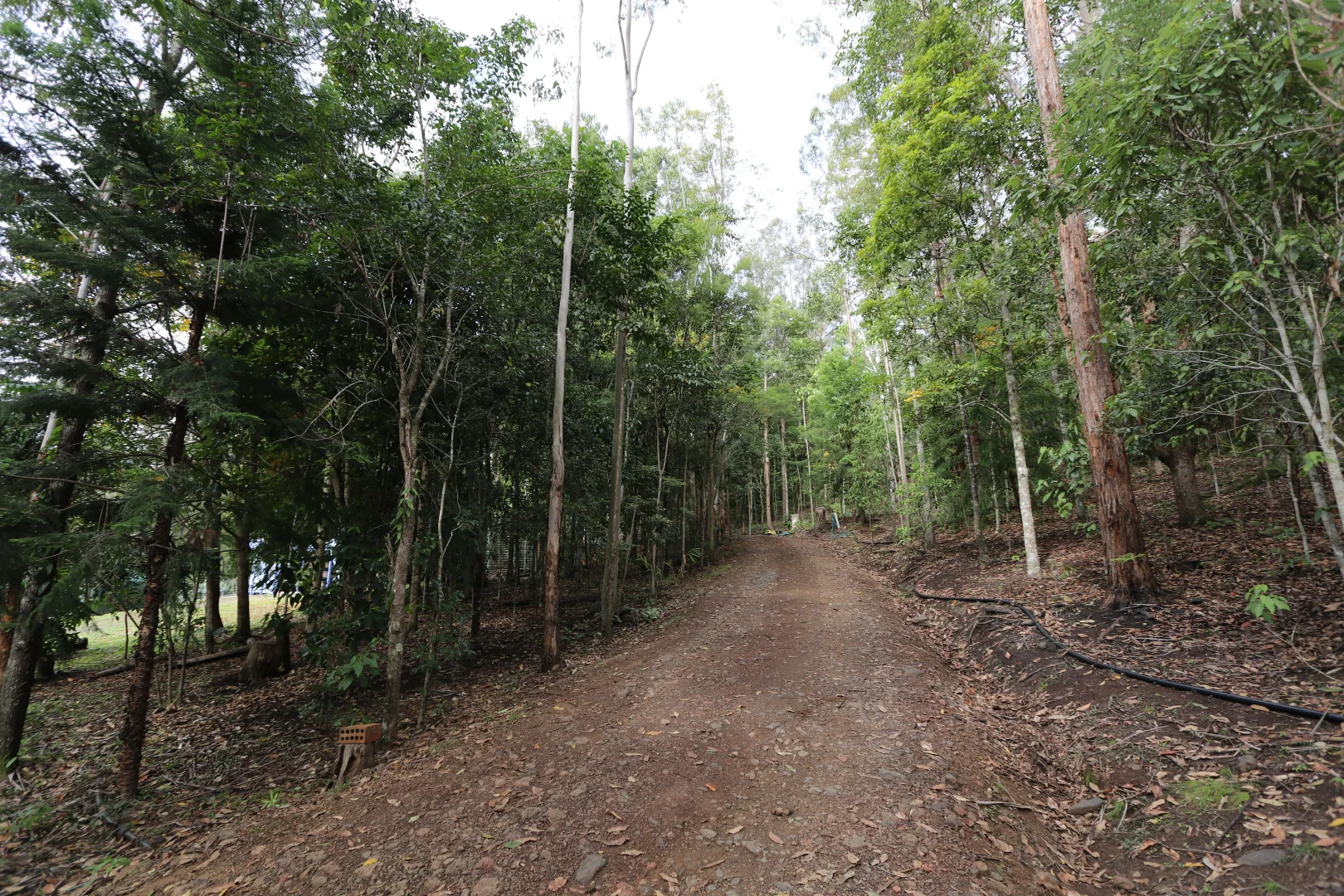 Image 19