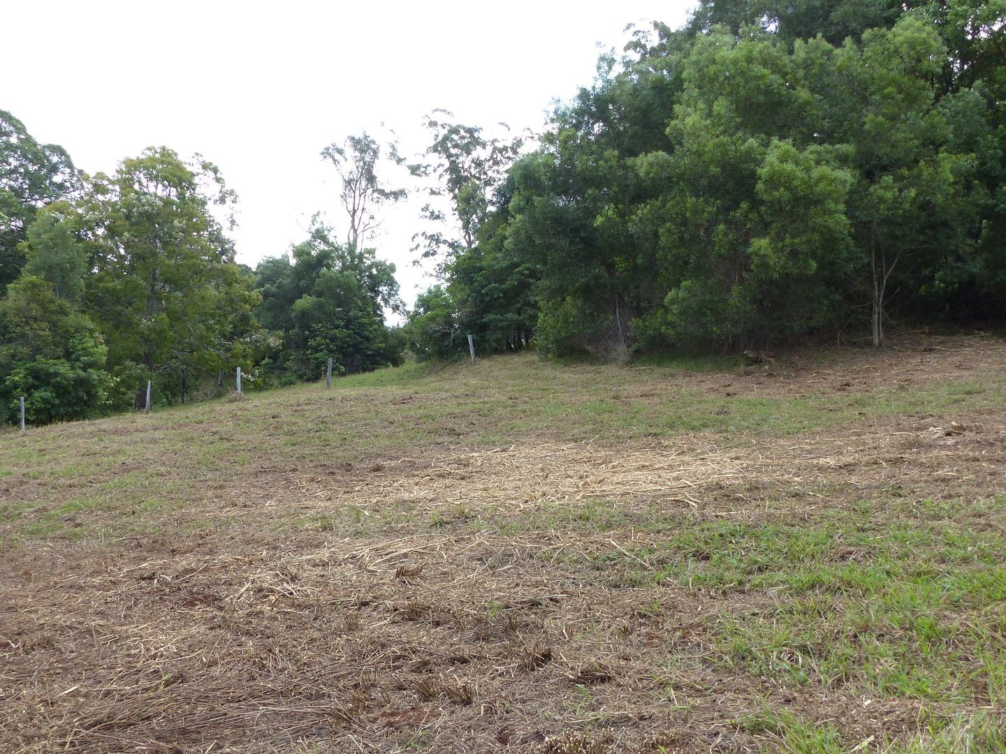 Lot 1 Fox Road, Rosebank NSW 2480, Image 1