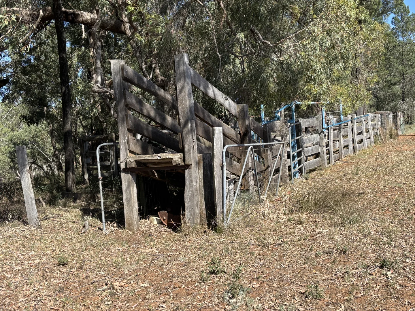 Image 30