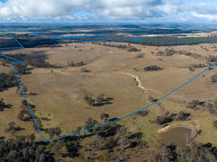 304 Norah Creek Road, Molong NSW 2866 House for Sale Domain