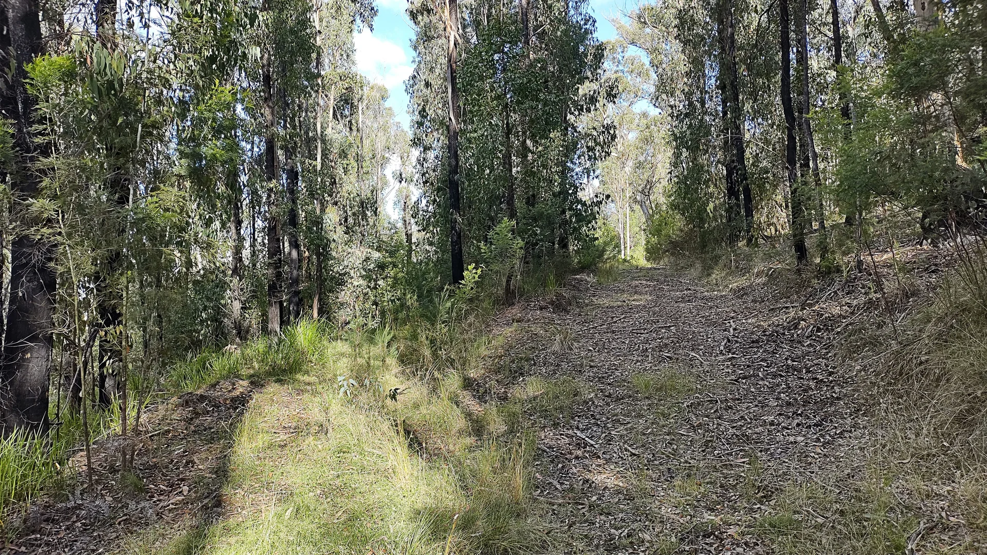 Additional image 5 of 307 Blomfield Road, Yarrowitch NSW 2354